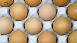 Multiple food recalls over possible contamination