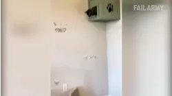 Bear Attacks Man - Best Fails Of The Week