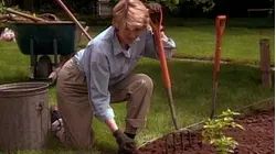 Peonies, Pasta, Staking Tomatoes