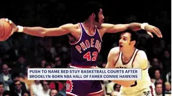 Bed-Stuy residents renew push to dedicate basketball courts after Brooklyn-born NBA Hall of Famer