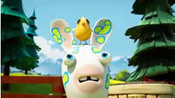 Rabbid allergy