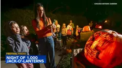 Festival Friday with Diane Pathieu