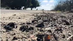 Rain impacts farming communities across the valley