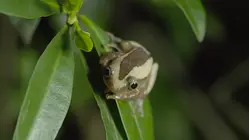 Wetland Wonder