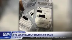 Received a package you didn't order? FTC says it could be a scam