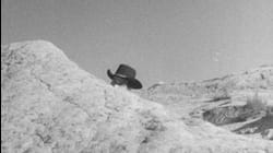 Adventures of Champion: Ep 23 - Return of Red Cloud (1956)