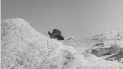 Adventures of Champion: Ep 23 - Return of Red Cloud (1956)