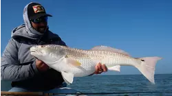 Captain's Log S2:E6 "Cajun Rendezvous" Part 1