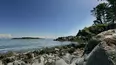 Chesapeake Shores