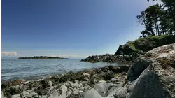 We're Not Losing a Son...