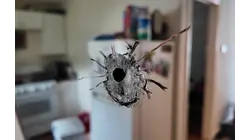 Bullets flying through Keansburg neighborhood leave man dead, woman narrowly escapes