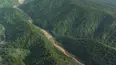 Green Paradise
