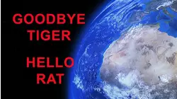 Goodbye Tiger Hello Rat