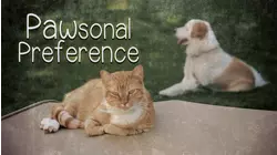 Pawsonal Preferences