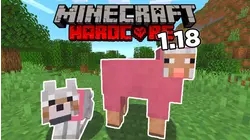 Minecraft - The Pink Sheep Clan
