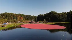 From Cranberries to Couture? Ocean Spray's CEO on Its Bold Fashion Move