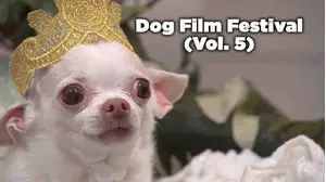 Dog Film Festival Vol. 5