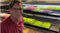 Microgreens