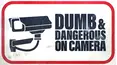 Dumb & Dangerous On Camera