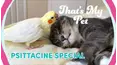 TPC That's My Pet