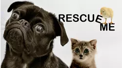 Rescue Me