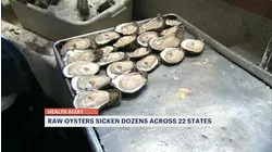 Salmonella outbreak tied to oysters in 22 states including tri-state area