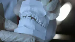 The Little Martyrship of A10: The Inass Touloub Affair