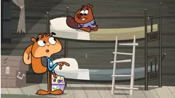 Camp or Consequences / Fairweather Squirrel