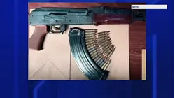 NYPD: 16 guns seized at Dominican Day Parade in the Bronx