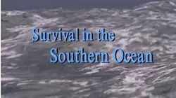 Survival in the Southern Ocean