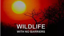 Wildlife With No Barriers