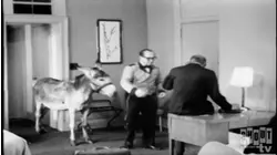 Candid Camera: S1 E190 - Episode 190