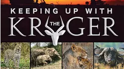 Welcome to the Kruger