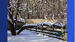 Popcorn Park Animal Refuge seeks help repairing blizzard damage