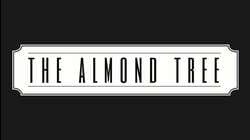 The Almond Tree