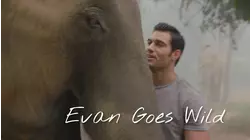 Nepalese Elephant Adventure