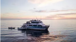 Nomad
