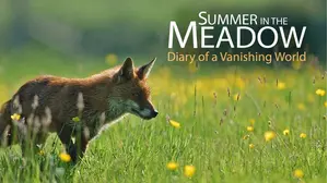 Summer in the Meadow: Diary of a Vanishing World