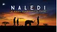 Naledi: A Baby Elephant's Tale