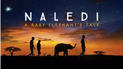 Naledi: A Baby Elephant's Tale