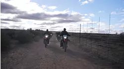 Protecting the Rhinos