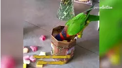 Time for An Adventure | Best Pets of The Week