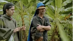 Providencia & the Wisdom of the Bora