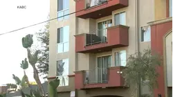 Body camera footage released in California dog shooting