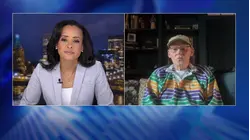 Veteran strategist James Carville thinks Democrats will take the Senate in 2026