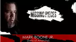 Missing Pieces