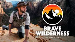 Bear Encounter