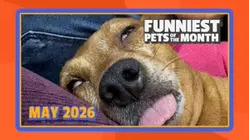 Funniest Pets of the Month | Ep. 3.6