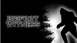 Bigfoot Witness