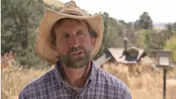 Wolf-Dogs - Out of the Wild